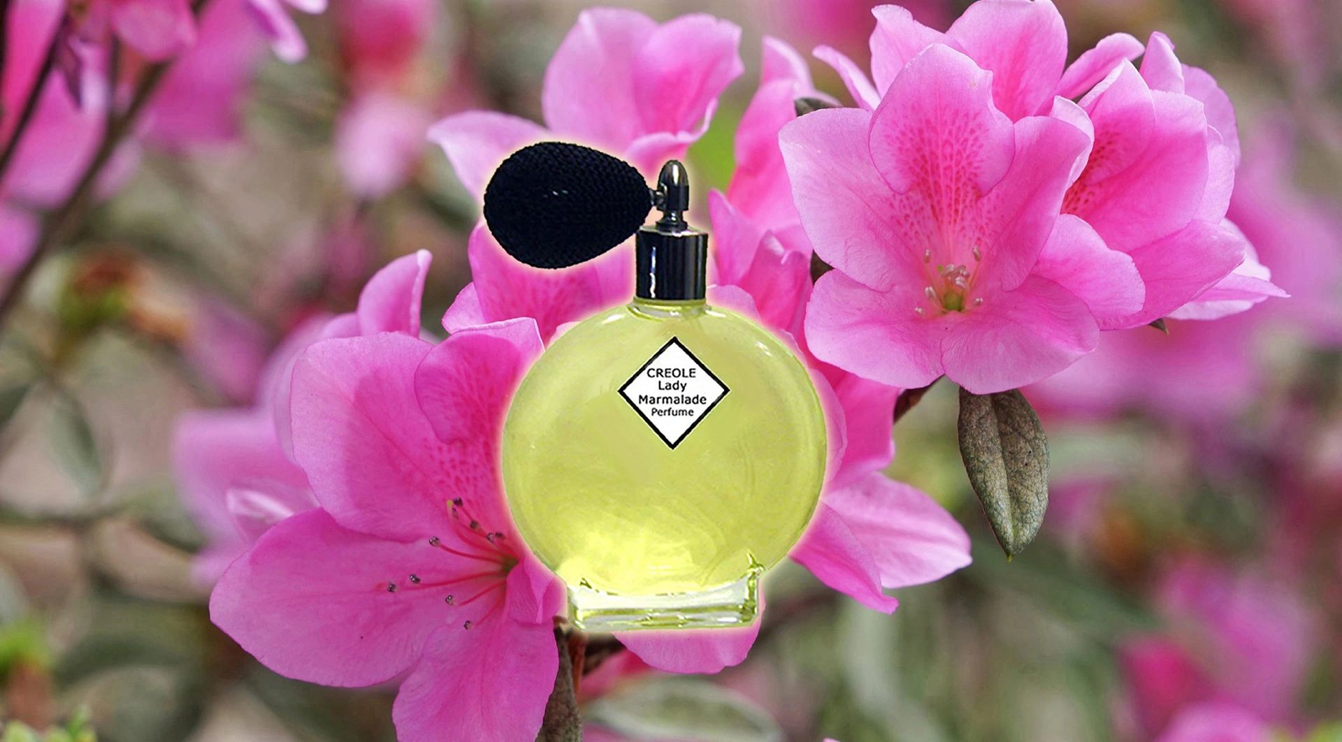 The Original CREOLE Lady Marmalade Perfume